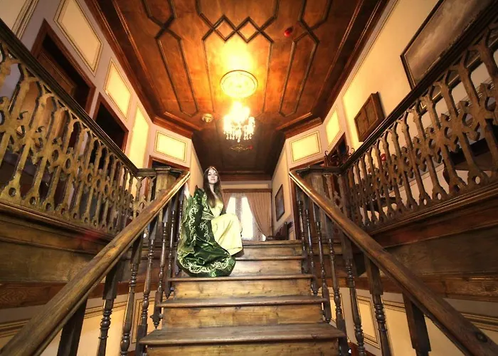 Mihran Hanim Konagi 3* 埃迪尔内